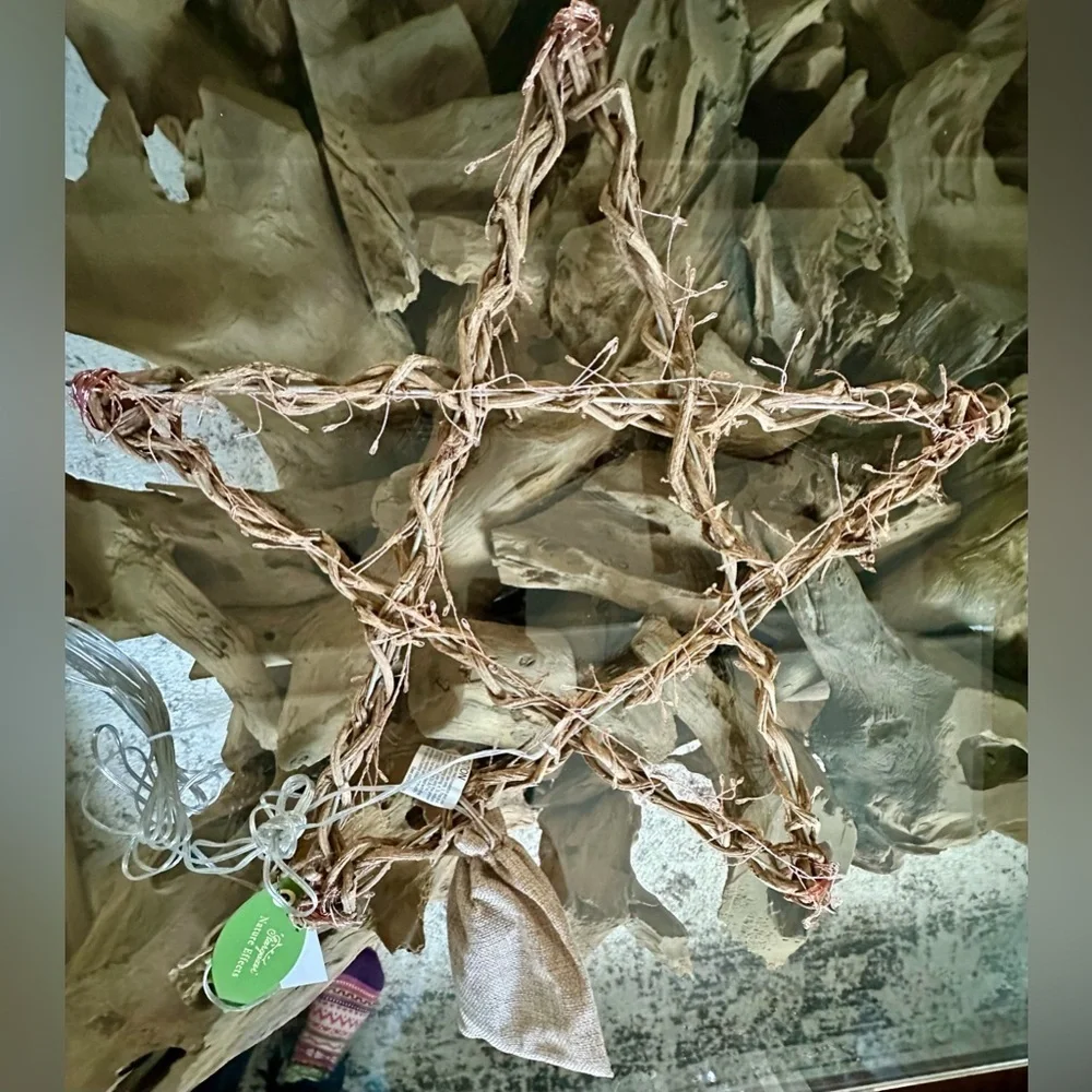 RARE TERRAIN NWT Stargazer Illuminated LED Vine Star